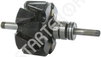 Rotor Alternator CARGO 2ROT0140372