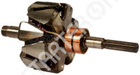 Rotor Alternator CARGO 2ROT0156941