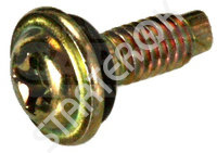 Screw Bolt CARGO 1VPS0007823