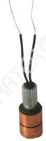 Slip ring Alternator CARGO 2SRA0156991