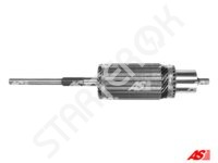 Starter armature AS 1ARM0149173