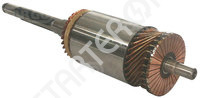 Starter armature CARGO 1ARM0005901