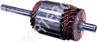 Starter armature CARGO 1ARM0020337