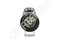 Starter PSH 10244981